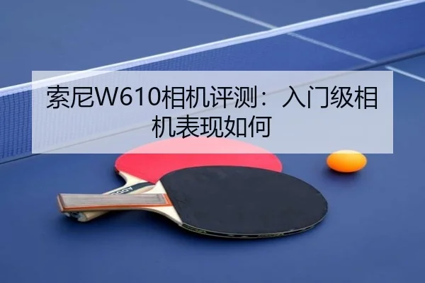 索尼W610相机评测：入门级相机表现如何